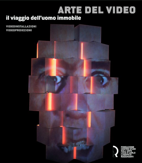 Arte del video. Il viaggio dell’uomo immobile